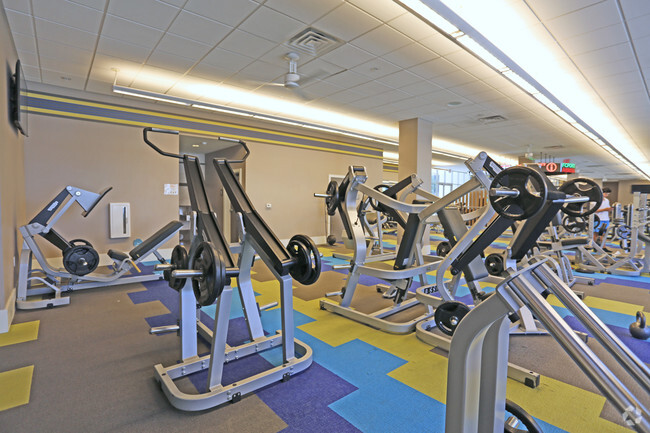 Fitness Center - The Rive