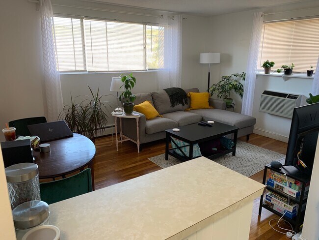 Living area - 90 Quarry St
