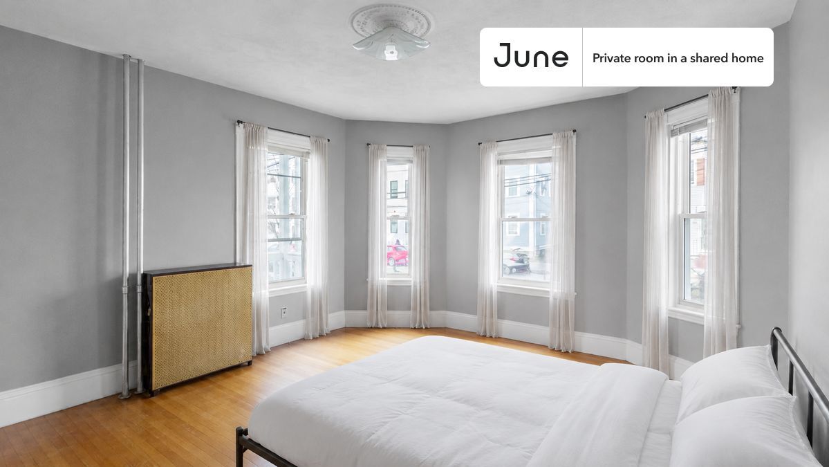 Room in Shared 5 bed/1 bath home in Somerville - Room in Shared 5 bed/1 bath home