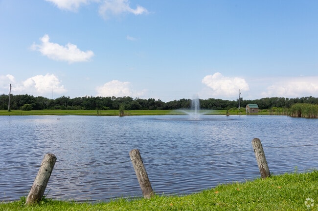 Live Oak Park in Downtown Ingleside.