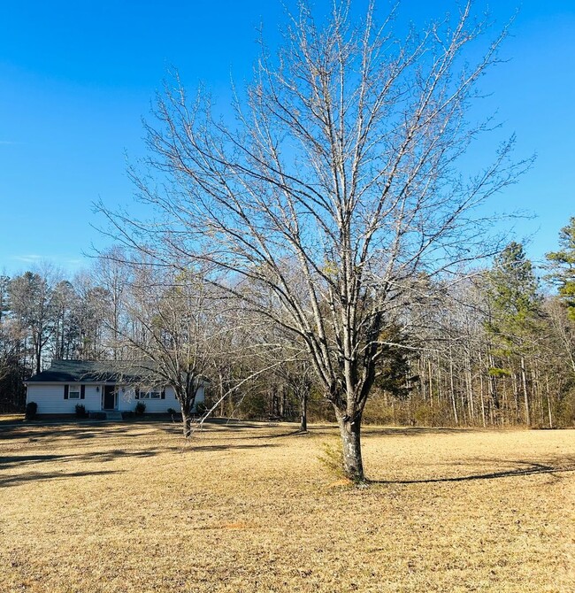 Building Photo - Freshly Renovated 3/2 on a Private 2 Acre Lot