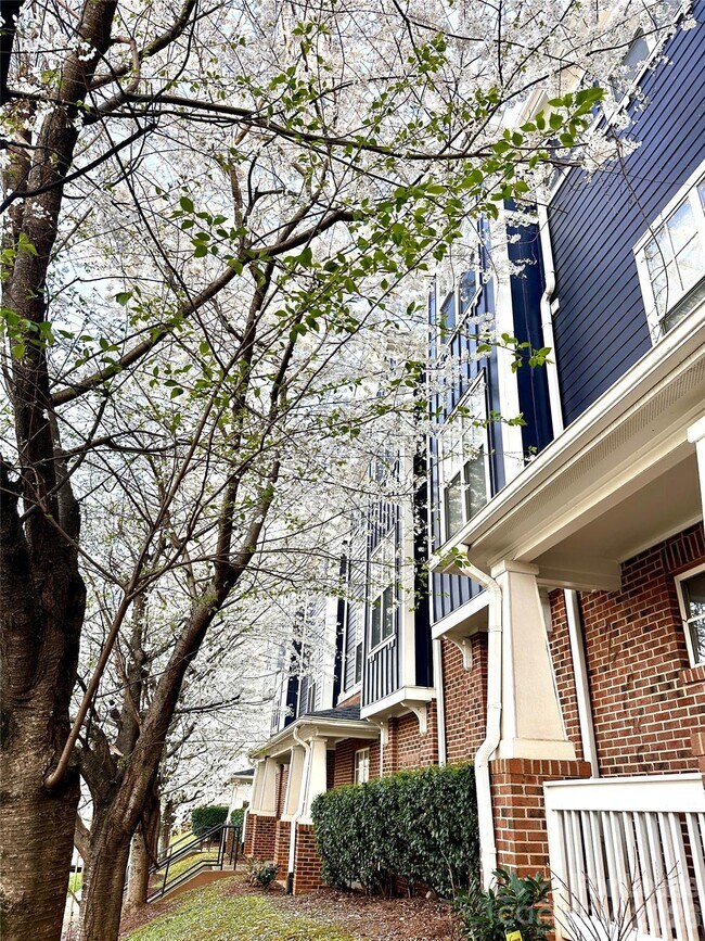 Foto del edificio - 1600 Walnut View Dr