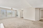 This single-story home offers a well-organized layout across three bedrooms and two full bathrooms. The spacious living room serves as the heart of the home, featuring a tile-surround fireplace, ceiling fan, plush wall-to-wall carpeting, and large windows that flood the space with natural light and provide outdoor views. A glass door opens from the living room, adding to the bright and airy atmosphere.

The galley-style kitchen is equipped with dark wood cabinetry, a double-basin sink, a range, and black appliances including a refrigerator and dishwasher, all set above wood-look flooring. A pass-through counter connects the kitchen to the main living area for easy flow.

Each bedroom is carpeted and includes built-in closet storage. The primary bedroom features a spacious walk-in closet with wire shelving systems for organization. Additional bedrooms offer standard reach-in closets with hanging rods. A decorative pendant light fixture adds a stylish touch to one of the secondary bedrooms.

The primary bathroom includes a dual-sink vanity with dark wood cabinetry, a large mirror, and wood-look flooring. The secondary bathroom features a single-sink vanity and a full shower-tub combination with accessibility grab bars. Both bathrooms are finished with bright vanity lighting. The home also includes dedicated hallways, an entrance area, and a separate closet for additional storage.