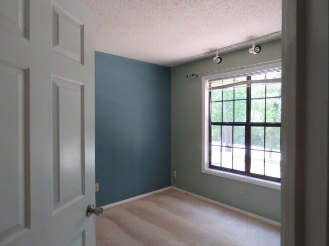 Foto del edificio - 3803 Chimney Ridge Pl