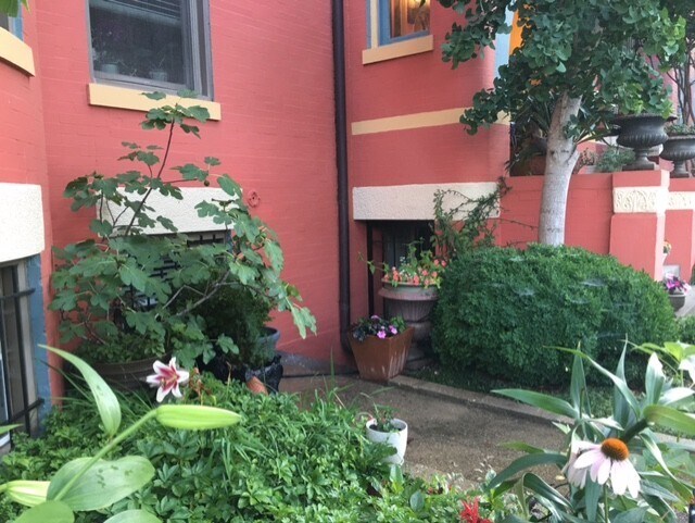 Front Entrance - 1331 Park Rd NW