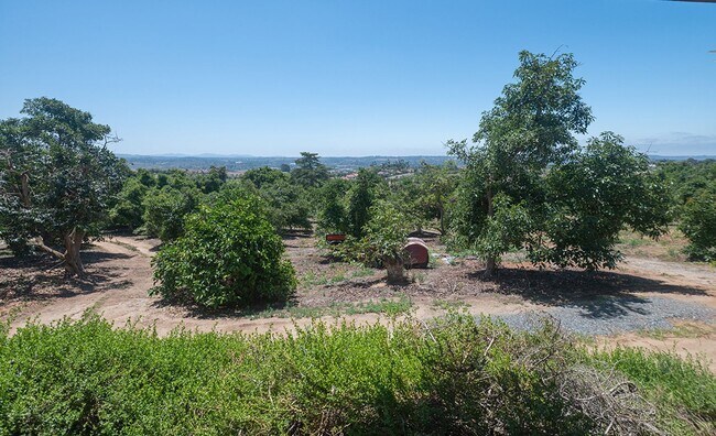 Foto del edificio - 3 Bedroom Ranch-Style Home on Avocado Grove Property in South Morro Hills