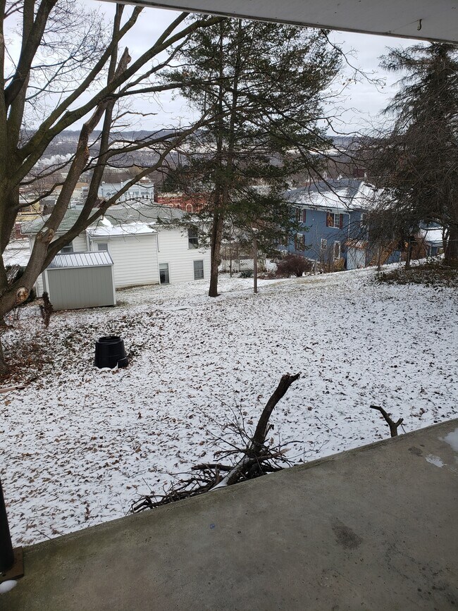 Back yard from the covered back patio - 107 N Monroe St