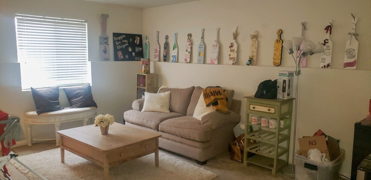 Basement Living Room - 1214 Euclid Ave