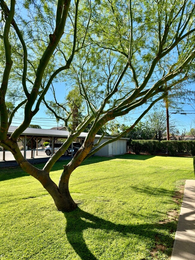 Building Photo - 2545 E Clarendon Ave