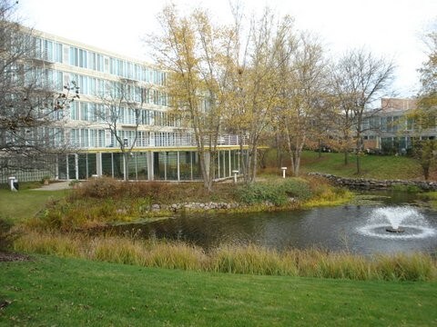 Beautiful grounds - 2555 Gross Point Rd