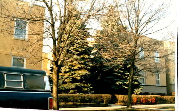Primary Photo - Norwood Apartments