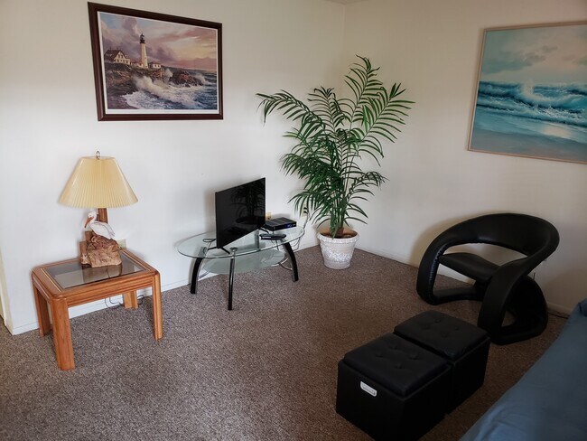 Vista de la sala de estar 2 - 8911 Blind Pass Rd