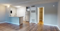 Located at 401 Rosery Rd NE, Apt 801, in Largo, FL, this 500-square-foot, single-floor apartment offers an efficient and well-appointed layout. The open-concept kitchen and living area form the heart of the unit, featuring warm hardwood flooring that extends throughout the entire space. Neutral gray walls and a textured ceiling complement the clean, understated aesthetic.

The kitchen is equipped with white cabinetry, a stainless steel refrigerator, a stainless steel range, a built-in microwave, and a sink with modern fixtures. A built-in open shelving unit adjacent to the kitchen provides additional storage and pantry space. Natural light filters into the living area through windows fitted with horizontal blinds, offering views of the surrounding greenery.

The living room is generously proportioned for the unit's overall footprint, with ample wall space and good natural light. A dedicated walk-in closet features wire shelving and a clothing rod, providing notable storage capacity. The bathroom is accessible via a hallway, maintaining a clear separation from the main living space. HVAC equipment is housed within the walk-in closet area. The unit's straightforward layout, consistent flooring, and practical storage solutions make it a functional and comfortable living space.