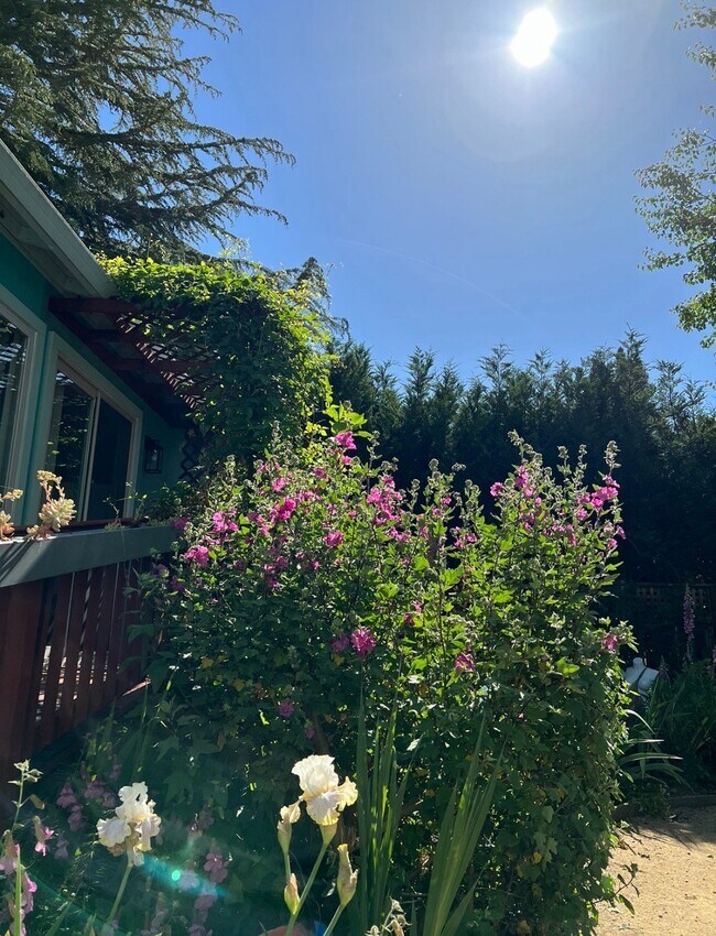 Foto del edificio - 14717 Carrier Ln