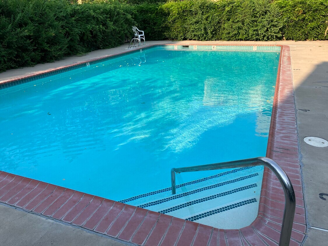 Pool - 2955 Lakeside Dr