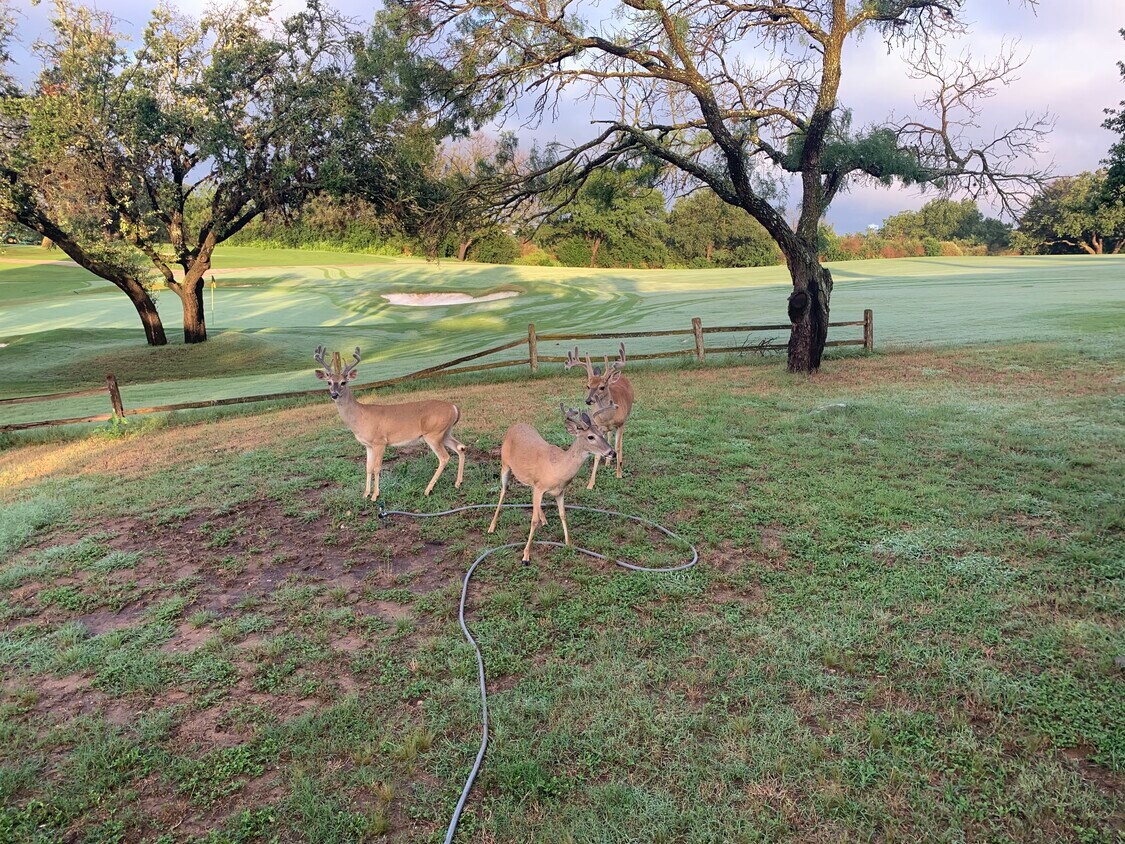 108 Lachite Unit 260, Horseshoe Bay, TX 78657 Condo for Rent in