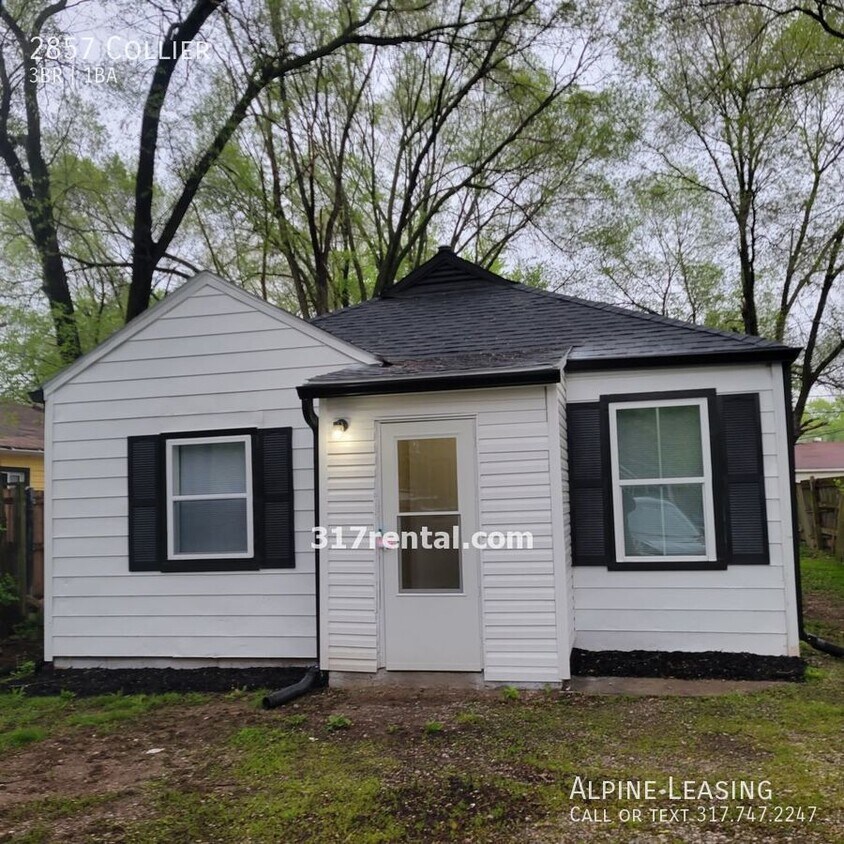 Primary Photo - New Rehab Great location!