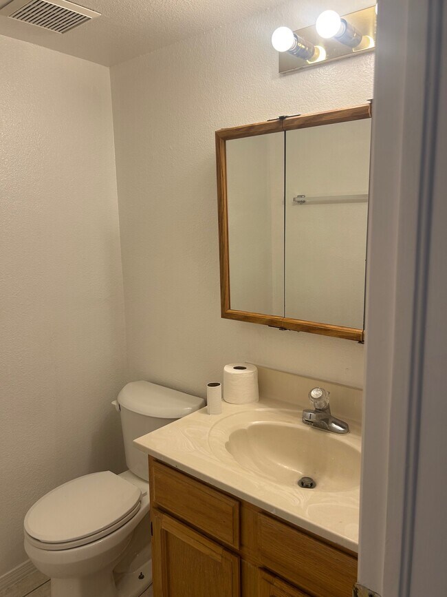 Baño de visitas - 1345 Trudy Elaine Dr