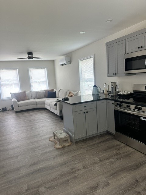 Sala de estar abierta - 215 Saco Ave