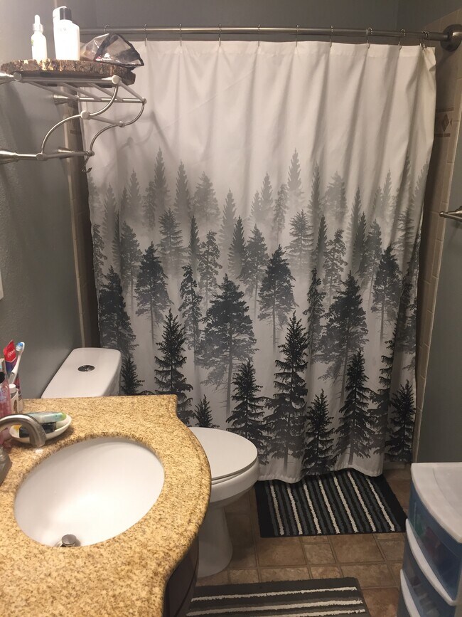 Bathroom - 407 Oregon St