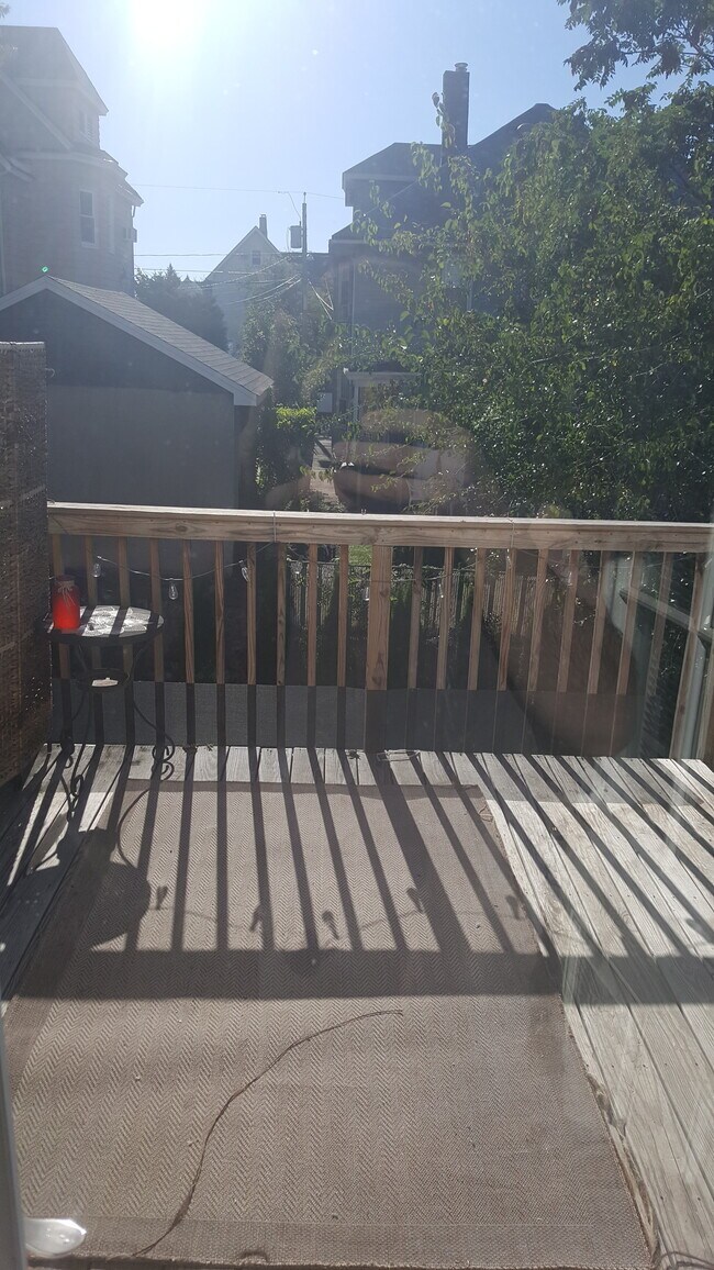 2nd Floor Deck - 66 Washington Pl