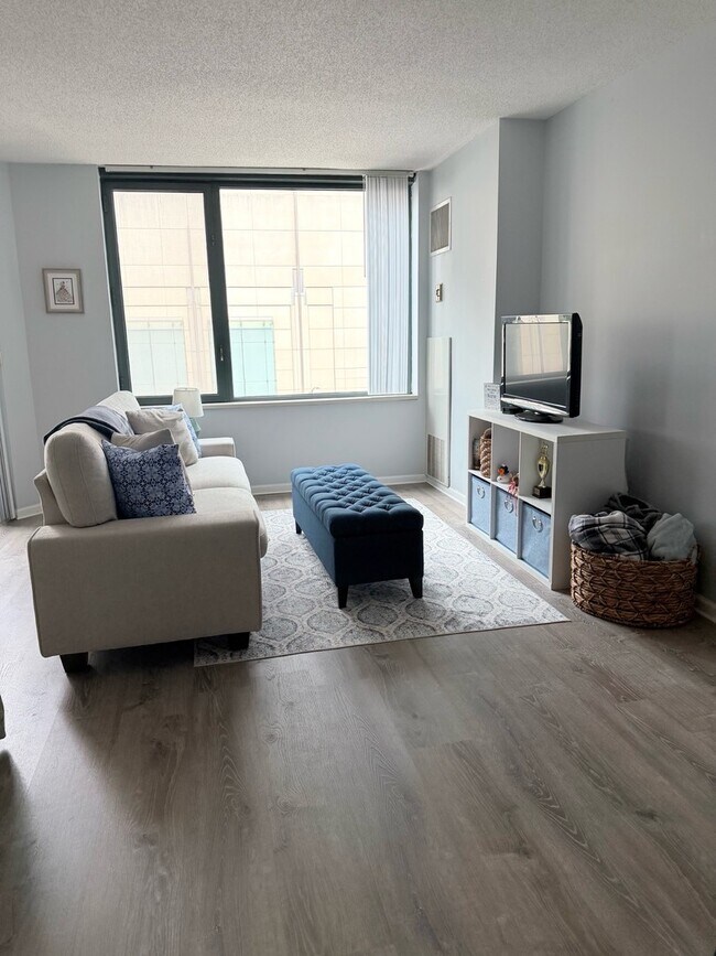 Foto del edificio - 480 N McClurg Ct