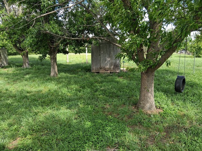 Foto del edificio - Charming 4BR Home in Cave Springs