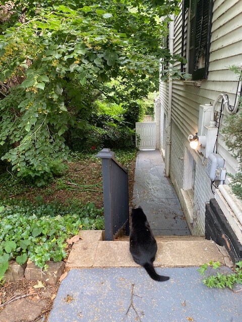 Private entrance - 405 Washington St
