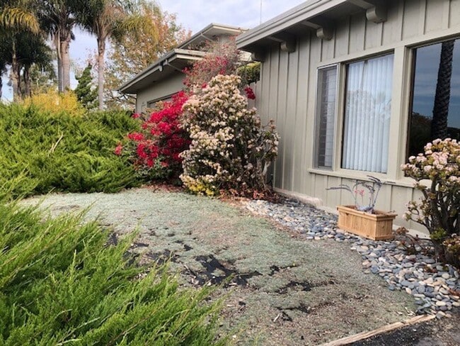 Foto del edificio - Tranquil Encinitas Studio Retreat