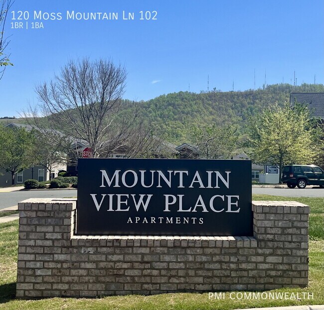 Building Photo - 120 Moss Mountain Ln