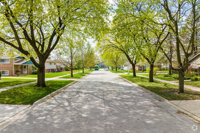 Tinley Park has many lush, tree-lined streets in the neighborhood.