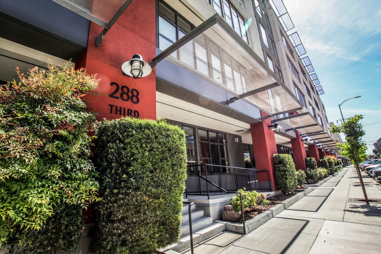 288 3rd St, Oakland, CA 94607 Condo for Rent in Oakland, CA