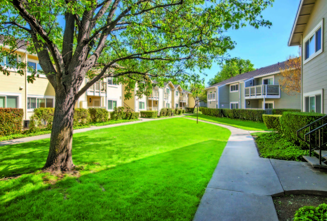 Beautiful Landscape - Cypress Pointe Apartments