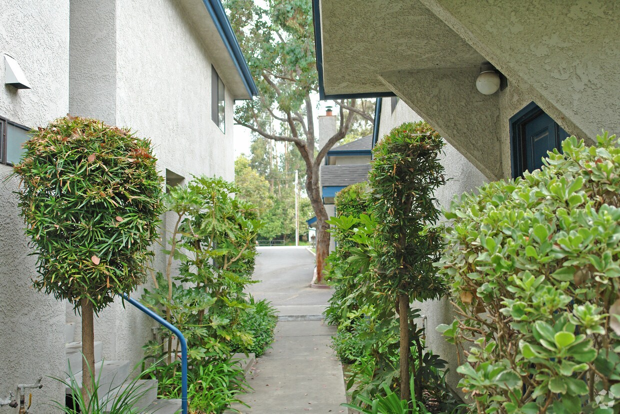 Building Photo - Acacia Creek