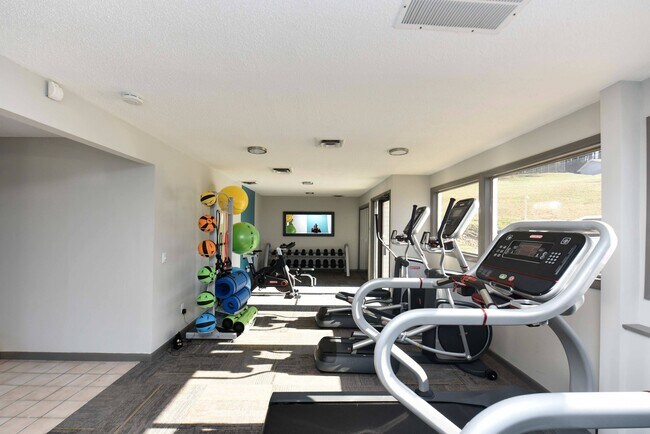 Gimnasio totalmente equipado - Palmer