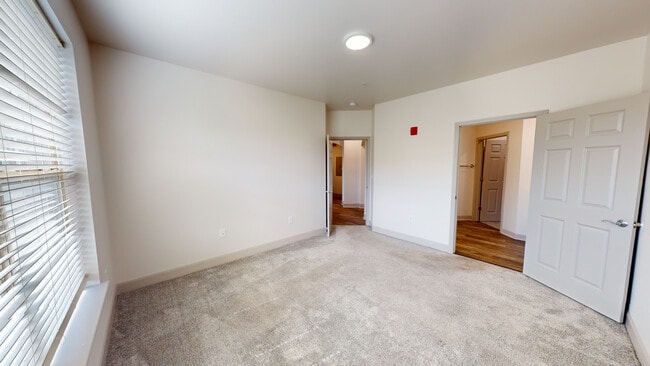 University Bedroom - The Village at Stetson Square