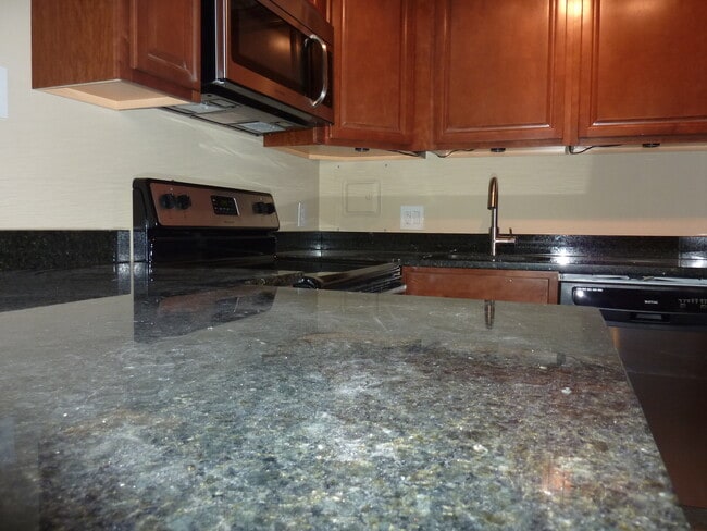 Building Photo - 1BR Condo | Walk to UTK