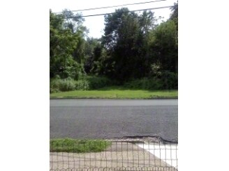 Primary Photo - 310 Elm St