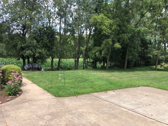 View looking Northwest from Garage - 1007 Woodland St SW