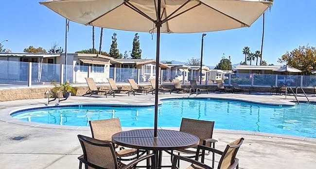 Pool - Meadowbrook