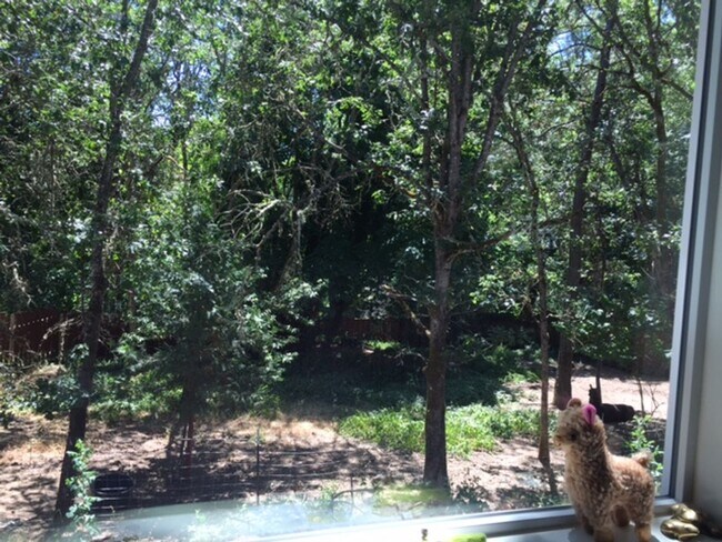 Foto del edificio - 2BED 2BATH - NEWLY RENOVATED, YARD, WASHER DRYER, STORAGE, NEAR DOWNTOWN
