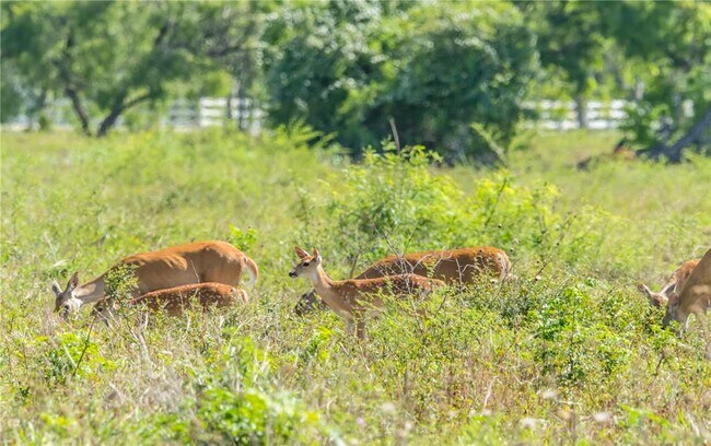 Foto del edificio - 401 Anderson Rd