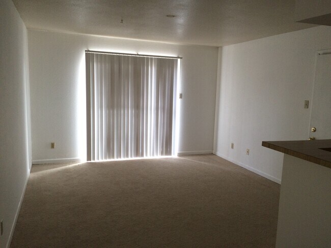 Foto del edificio - College Station, 1 bedroom / 1 bath condo ...
