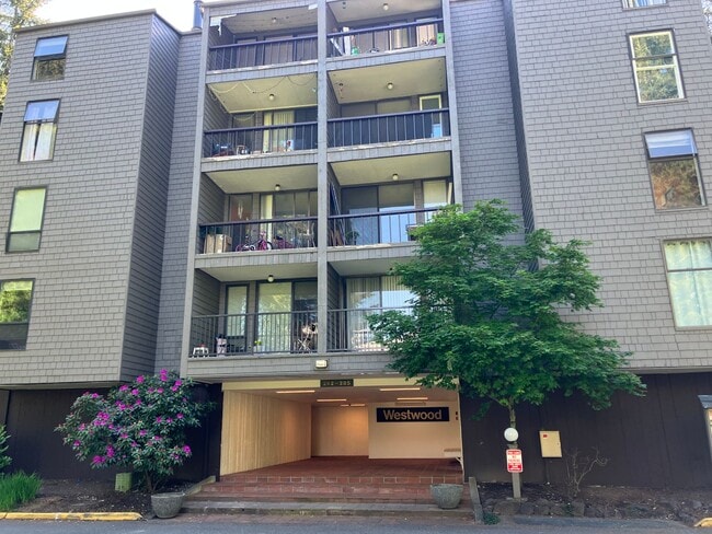 Fully Renovated Redmond 1 Bedroom - Fully Renovated Redmond 1 Bedroom Apartment