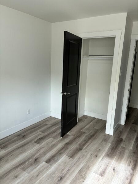 Building Photo - Fully Renovated Unit Available Now!