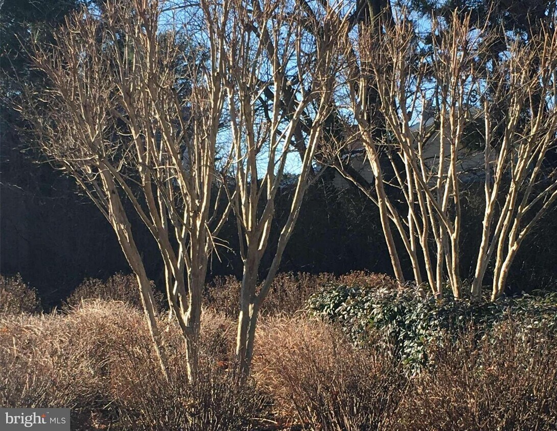 Primary Photo - 5 Stonehenge Cir