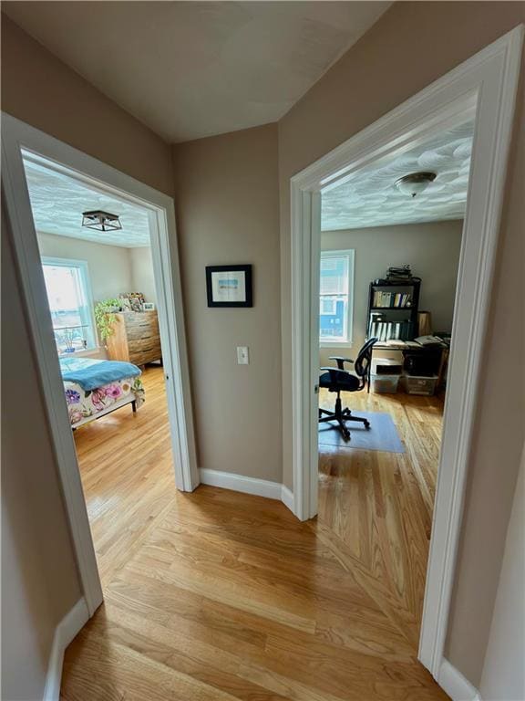 Foto del edificio - 6 Wilson St