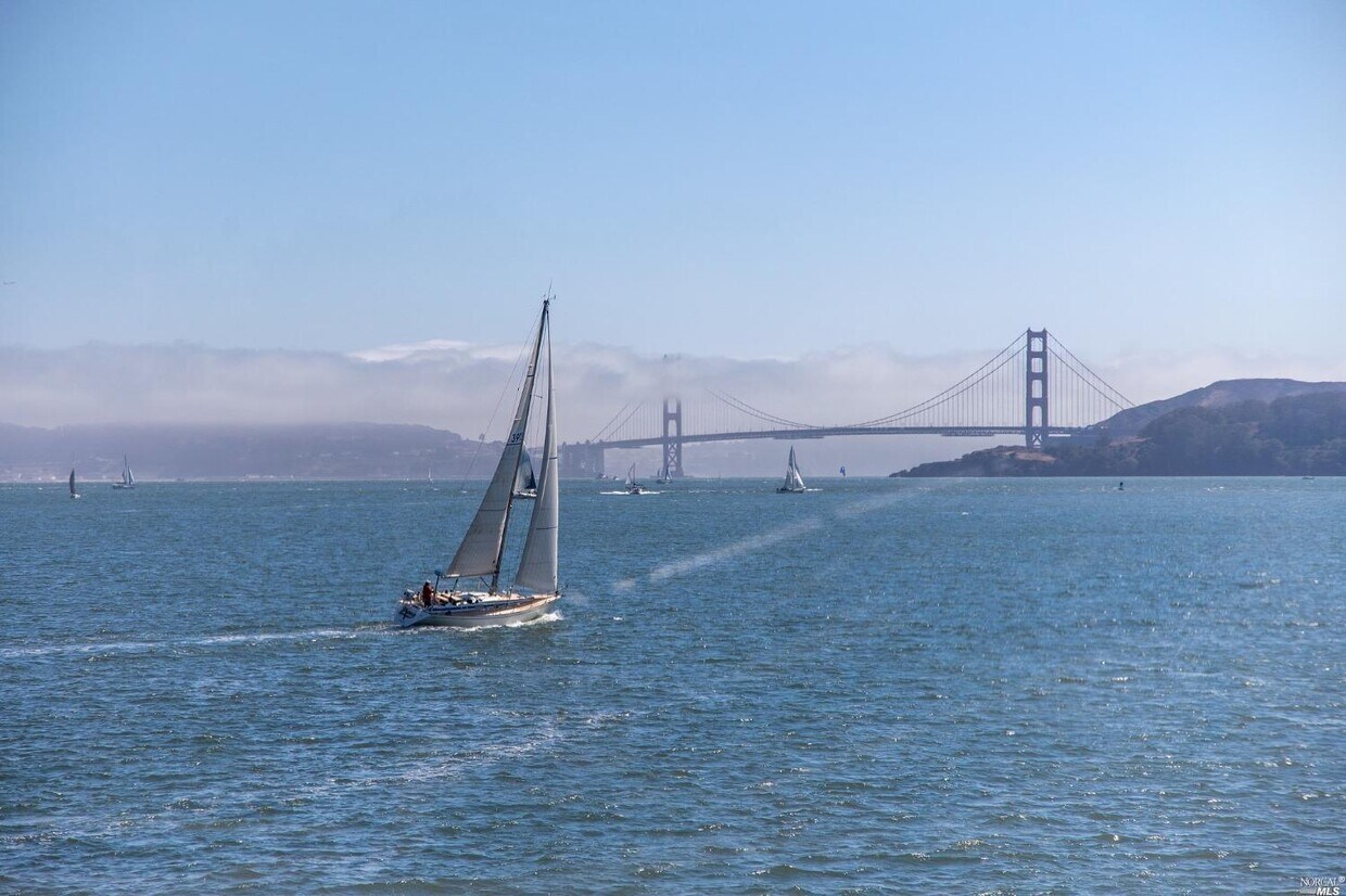 2002 Paradise Dr Unit 3, Tiburon, CA 94920 Room for Rent in Tiburon