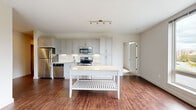 This single-floor residence offers a thoughtfully designed layout that balances open communal spaces with private retreats. The kitchen is outfitted with gray shaker-style cabinetry extending to the ceiling, a white subway tile backsplash, stainless steel appliances including a refrigerator, dishwasher, microwave, and range, and a white quartz countertop. A freestanding white kitchen island provides additional workspace and storage.

The kitchen flows seamlessly into the living area, which is defined by rich hardwood-style flooring and large floor-to-ceiling windows that fill the space with natural light and frame views of a tree-lined streetscape. The open layout offers generous room for a variety of furniture arrangements.

The bedroom features plush carpet flooring, a built-in closet with wire shelving, and a window with outdoor views, creating a comfortable and functional retreat.

Two bathrooms serve the unit. One features a wide gray vanity with white quartz countertop and large-format light tile flooring. The second offers a full tub-shower combination clad in white subway tile, a matching gray vanity, and the same light tile flooring, providing a clean, cohesive aesthetic throughout.