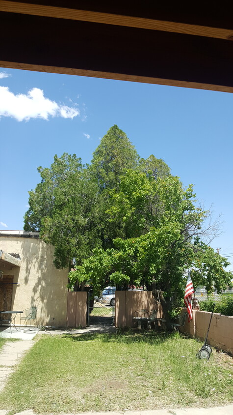 Courtyard with apricot tree - 7553 Isleta Blvd SW